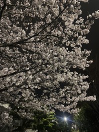 大決算ありがとうございました！